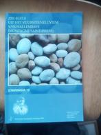 Zee-egels uit het Vuursteeneluvium, Diverse, Nieuw, Ophalen of Verzenden, Overige onderwerpen