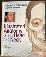 Anatomie Hoofd en Hals - Fehrenbach & Herring, Boeken, Ophalen of Verzenden, Beta, Gelezen, HBO