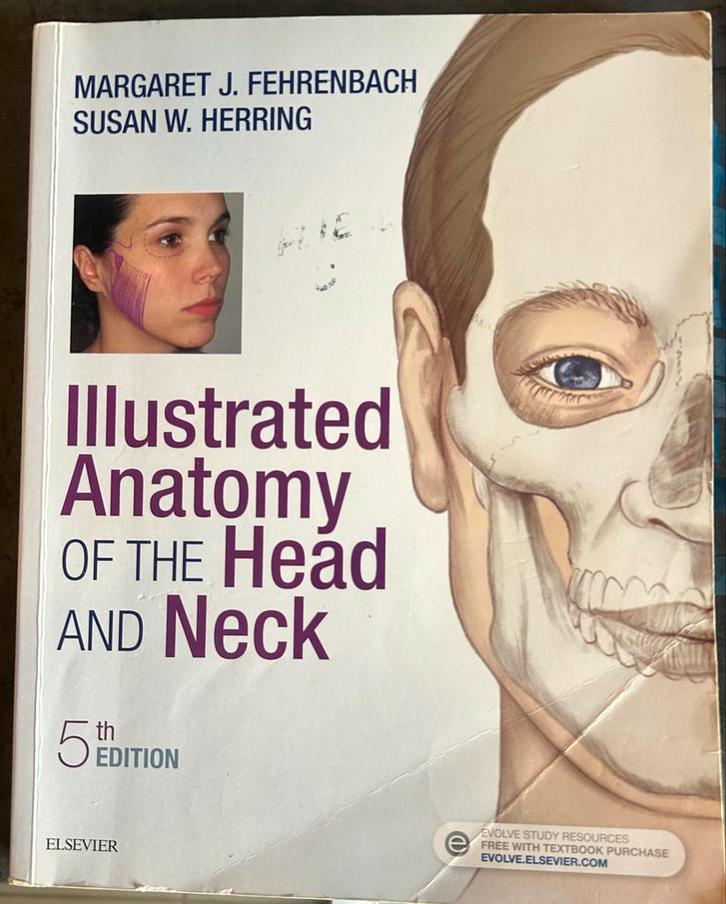 Anatomie Hoofd en Hals - Fehrenbach & Herring, Boeken, Studieboeken en Cursussen, Gelezen, HBO, Beta, Ophalen of Verzenden