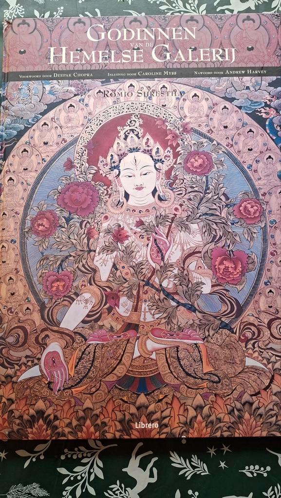 Godinnen van de Hemelse Galerij - Spiritualiteit, Boeken, Esoterie en Spiritualiteit, Gelezen, Achtergrond en Informatie, Spiritualiteit algemeen