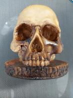"Skull" messenblok nieuw, Nieuw, Merkloos, Ophalen of Verzenden, Nvt