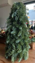 Nobilis boompjes nieuw! 50 cm, Ophalen of Verzenden, Nieuw