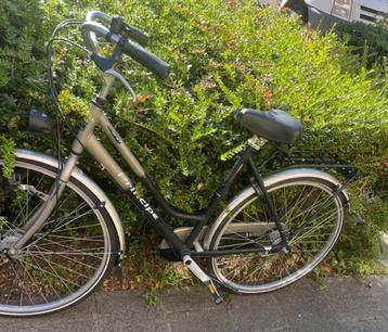 Fiets Principe Walesa Dutch Quality beschikbaar voor biedingen