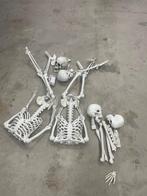 Halloween skeletten & botten te koop, Ophalen, Nieuw, Feestartikel, Halloween of Griezel