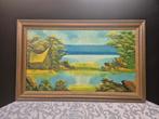 Prachtig schilderij landschap, Antiek en Kunst, Kunst | Schilderijen | Klassiek, Ophalen of Verzenden