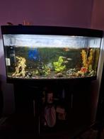 Juwel aquarium met toebehoren overcompleet, Ophalen of Verzenden, Zo goed als nieuw, Leeg aquarium