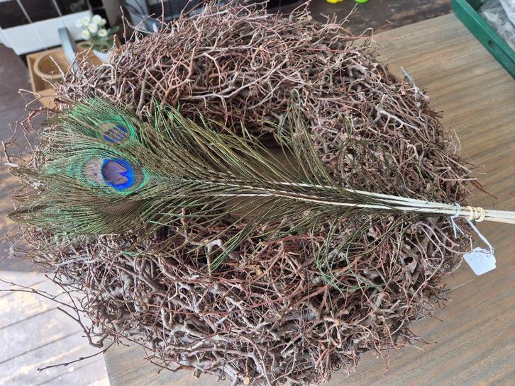 Pauw veren, Huis en Inrichting, Woonaccessoires | Droogbloemen, Nieuw, Ophalen of Verzenden