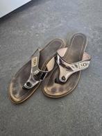 UGG slippers in maat 39, Slippers, UGG, Ophalen of Verzenden, Gedragen