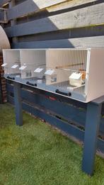 Broedkooi, Dieren en Toebehoren, Vogels | Hokken en Kooien, Ophalen, Zo goed als nieuw, Hout, Broedkooi of Kweekkooi