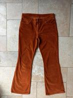 Fabiene Chapot eva corduroy broek maat 32, Kleding | Dames, Broeken en Pantalons, Ophalen of Verzenden, Zo goed als nieuw, Maat 34 (XS) of kleiner