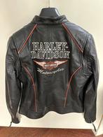 Harley Davidson geiten Leren biker Jas - Dames maat M, Motoren, Jas | leer, Harley Davidson. Origineel., Ophalen of Verzenden