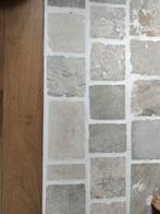 Bourgondische dallen, Doe-het-zelf en Verbouw, Tegels, Ophalen, Zo goed als nieuw, 20 tot 40 cm, Vloertegels