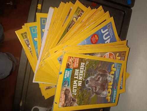 Junior national Geographic 53 stuks, Boeken, Tijdschriften en Kranten, Zo goed als nieuw, Wetenschap en Natuur, Ophalen of Verzenden