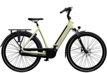 lichtgewicht E-Bike, die dubbel goud pakt fietstest AD beschikbaar voor biedingen