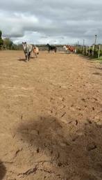 Plek vrij op equi habitat te Middenbeemster, Dieren en Toebehoren, Stalling en Weidegang, Toebehoren