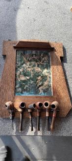 houten pijpen rek met 6 verschillende pijpen, Ophalen of Verzenden, Gebruikt, Overige typen