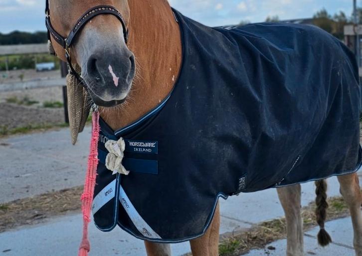 Amigo, rhino , dekens regen winter, Dieren en Toebehoren, Paarden en Pony's | Dekens en Dekjes, Gebruikt, Ophalen of Verzenden