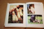 Het varken als gezelschapsdier - Violette Sanders, Boeken, Dieren en Huisdieren, Ophalen of Verzenden, Gelezen, Katten