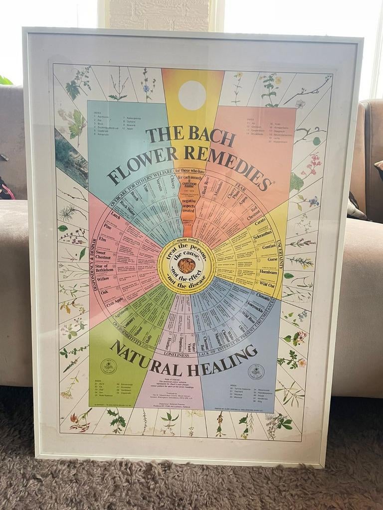 Bach Flower Remedies - ingelijst 71x51cm, Antiek en Kunst, Ophalen of Verzenden