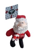 Kattenspeelgoed   " Pluche kerstman met catnip  "  OP=OP!, Dieren en Toebehoren, Ophalen of Verzenden, Nieuw, Speelmuis