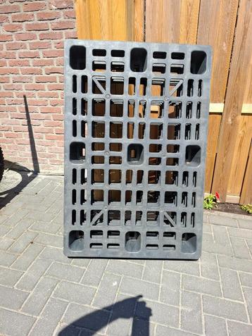 Pallets van kunststof 4 stuks beschikbaar voor biedingen