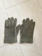 dames handschoenen, maat M. suède leer, voering lamsvacht, Kleding | Dames, Mutsen, Sjaals en Handschoenen, Maat 38/40 (M), Ophalen of Verzenden