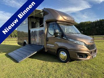 Iveco Daily 2-paards paardenvrachtwagen LIVING 3.0l 180PK Au beschikbaar voor biedingen
