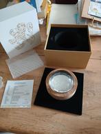 Leeuwendaalder 2021 in Sommer Dutch Glass Art houder, Postzegels en Munten, Munten | Nederland, Ophalen, Losse munt, Zilver