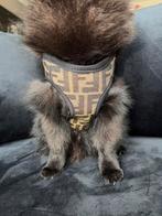 Prada & Fendi fashion brand tuigjes + lijn – €22,95 S M, Dieren en Toebehoren, Verzenden, Nieuw