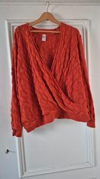 Trui maat 50 dames, Ophalen of Verzenden, Zo goed als nieuw, Trui of Vest