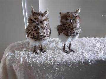 Kerstfiguur uilen beschikbaar voor biedingen