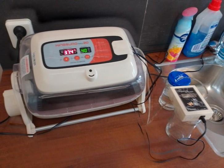 Broedmachine Rcom Kingsuro 20, Dieren en Toebehoren, Pluimvee | Toebehoren, Zo goed als nieuw, Broedmachine, Ophalen