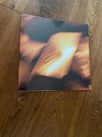 Shaemless - Suuz - LP Sealed, Ophalen of Verzenden, Nieuw in verpakking