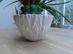 Amadeus grote creme witte boomstam relief schaal, kom, 23 cm, Ophalen of Verzenden, Overige stijlen, Porselein, Schaal of Schalen
