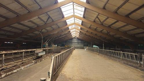 loods, schuur, stal, Zakelijke goederen, Bedrijfs Onroerend goed, Opslag of Loods, Koop