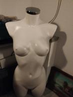 Dames Torso Paspop, Ophalen of Verzenden, Zo goed als nieuw