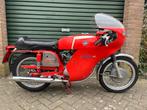 MV Agusta 350 S Elettronica, 12 t/m 35 kW, Particulier, 350 cc, 2 cilinders