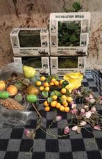 Decoratie mos en diverse decoratie materialen, Huis en Inrichting, Woonaccessoires | Kunstplanten en Kunstbloemen, Ophalen of Verzenden