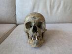 mensen schedel, Antiek en Kunst, Curiosa en Brocante, Ophalen of Verzenden