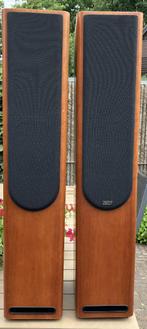 Cantius IV Luidsprekers van ASW, Gebruikt, 120 watt of meer, Front, Rear of Stereo speakers, Ophalen