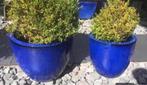 Twee grote terracotta tuin bloempotten blauw 40cm en 50cm, Tuin en Terras, Bloempotten, 40 cm of meer, Rond, Zo goed als nieuw