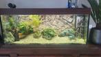 Aquarium met toebehoren, Dieren en Toebehoren, Vissen | Aquaria en Toebehoren, Ophalen of Verzenden, Zo goed als nieuw, Leeg aquarium