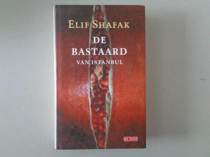 De bastaard van Istanbul - Elif Shafak, Boeken, Romans, Zo goed als nieuw, Europa overig, Ophalen of Verzenden