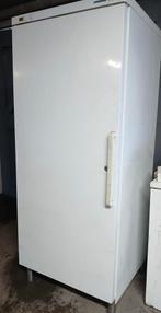 Liebherr horeca vriezer, Ophalen of Verzenden, Gebruikt, Koelen en Vriezen
