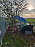 Nestera penthouse large, Dieren en Toebehoren, Pluimvee | Toebehoren, Ophalen, Zo goed als nieuw, Kippenhok of Kippenren