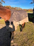 300 gram Pagony deken, Dieren en Toebehoren, Paarden en Pony's | Dekens en Dekjes, Ophalen, Zo goed als nieuw