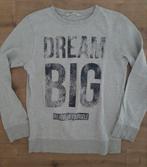 Grijze trui H&M dream big 146-152, Kinderen en Baby's, Kinderkleding | Maat 146, Ophalen of Verzenden, Gebruikt, H&M, Trui of Vest