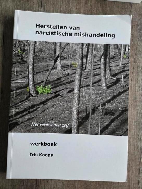 Herstellen van narcistische mishandeling - Iris Koops, Boeken, Psychologie, Gelezen, Klinische psychologie, Ophalen of Verzenden