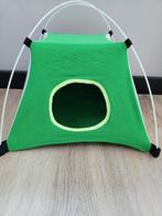 Tent cavia, Cavia