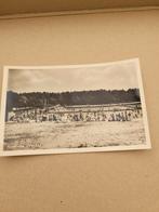 Appelscha., Verzamelen, Ansichtkaarten | Nederland, Ophalen of Verzenden, 1960 tot 1980